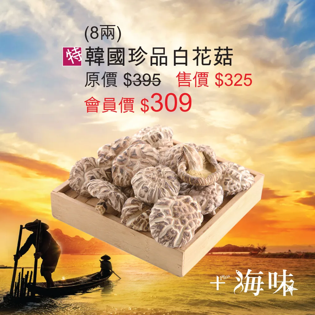 韓國珍品白花菇 (8兩)