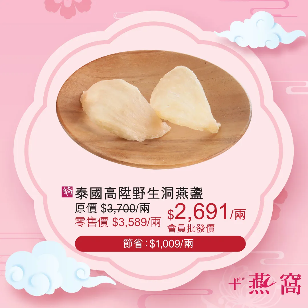 泰國高陞野生洞燕盞