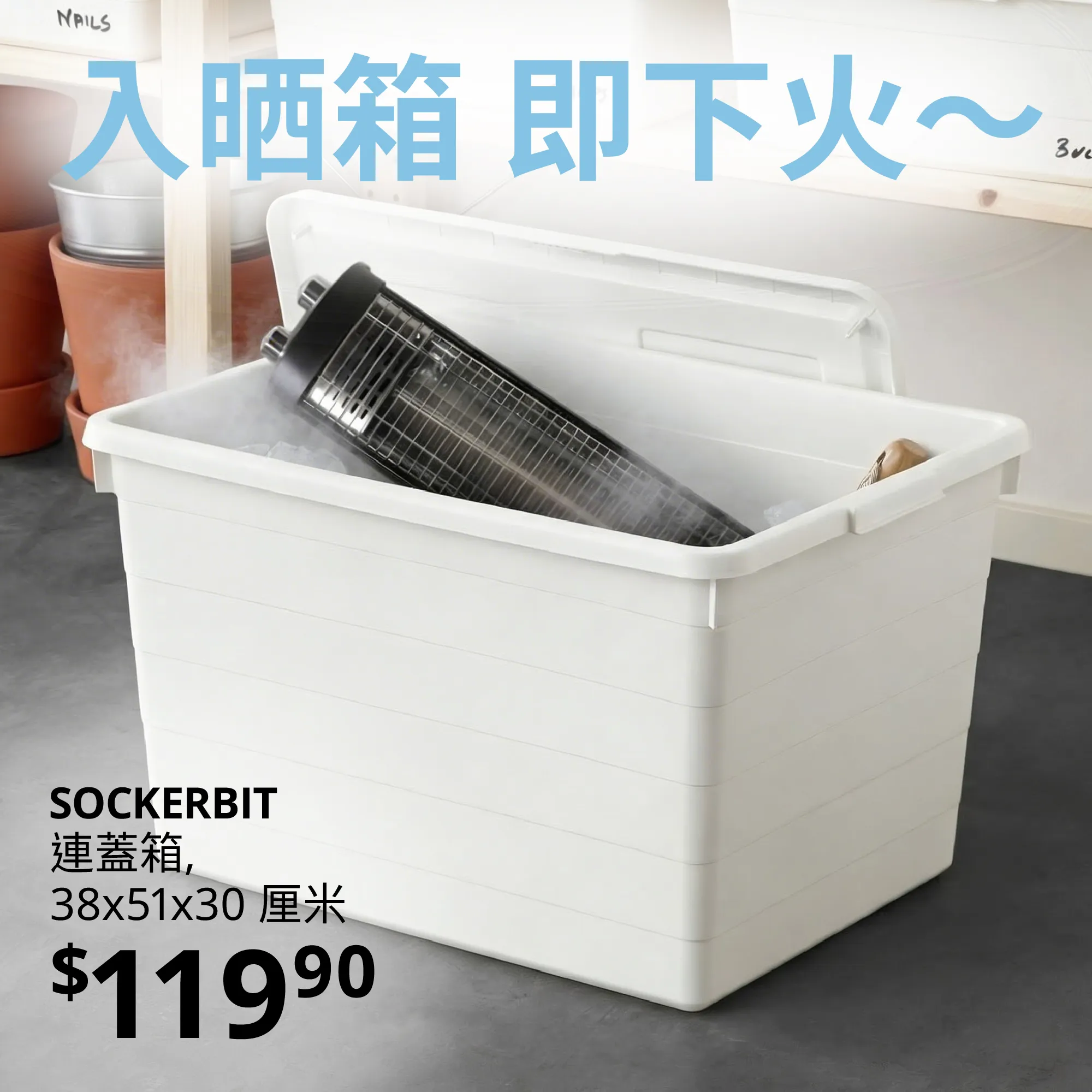 SOCKERBIT 連蓋箱, 38x51x30 厘米